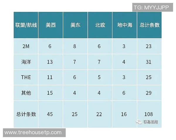 独家分析：深圳篮球队的配合对比