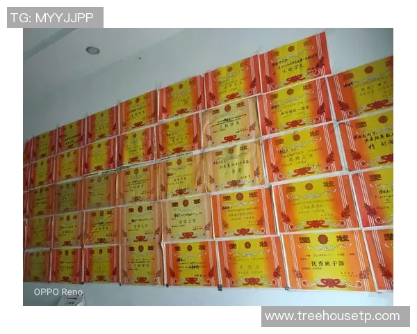 男童足球明星饭包的成长故事与梦想追逐之旅