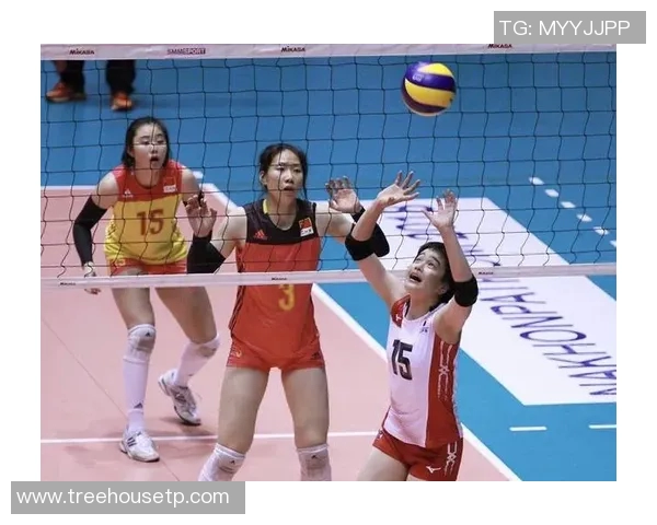 西安排球队灵活性引发热议球迷与专家观点交锋分析