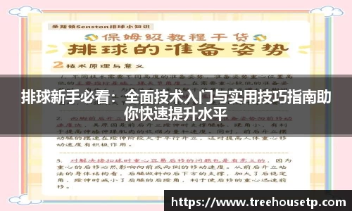 排球新手必看：全面技术入门与实用技巧指南助你快速提升水平