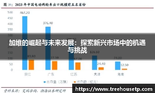 加维的崛起与未来发展：探索新兴市场中的机遇与挑战