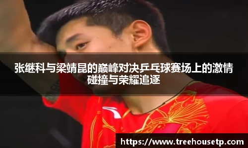 张继科与梁靖昆的巅峰对决乒乓球赛场上的激情碰撞与荣耀追逐