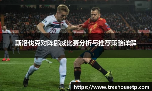 斯洛伐克对阵挪威比赛分析与推荐策略详解